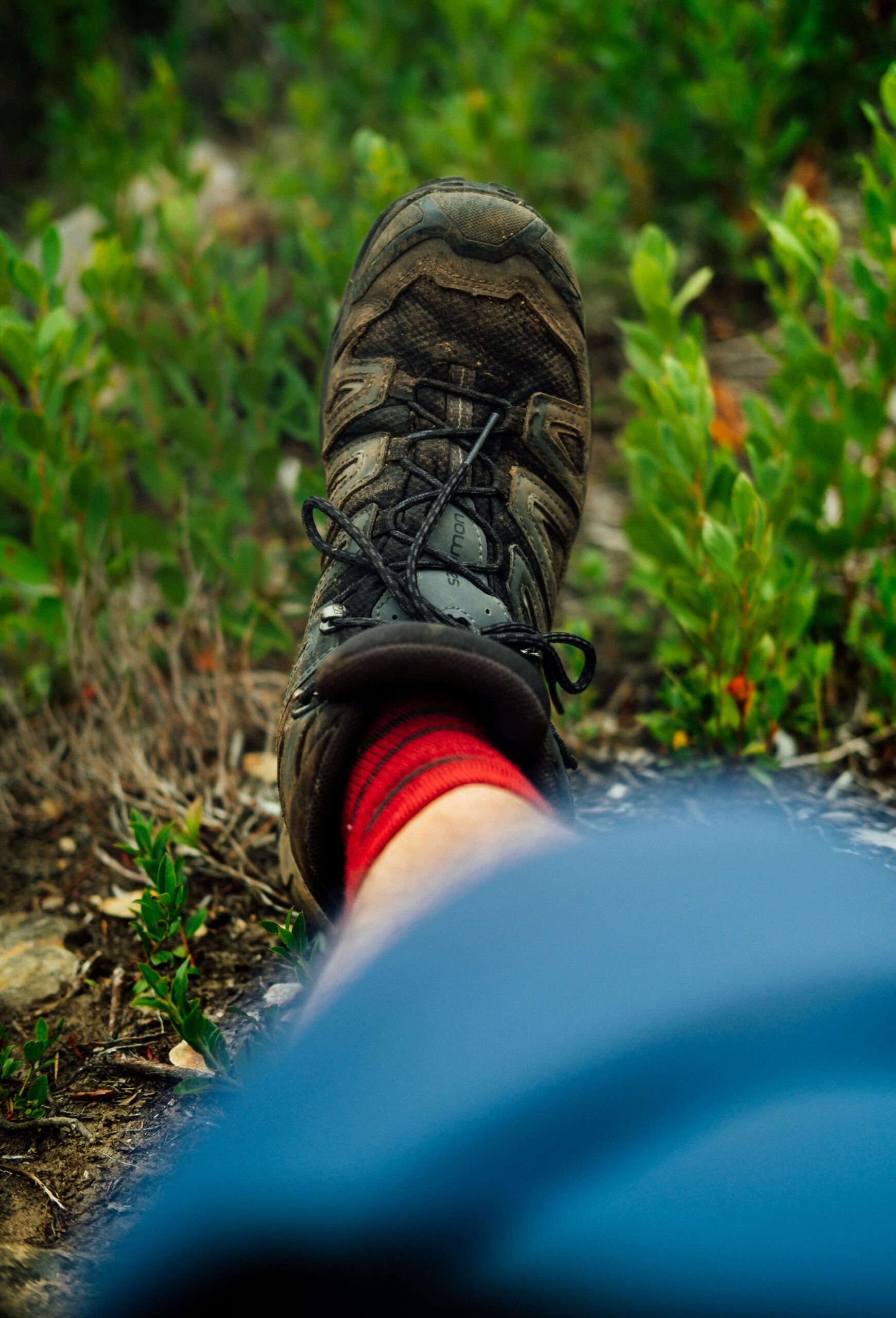 Zapatillas de trekking Salomon en terreno de montaña